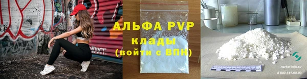 дживик Великий Новгород