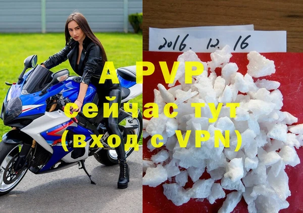 тгк Волгодонск