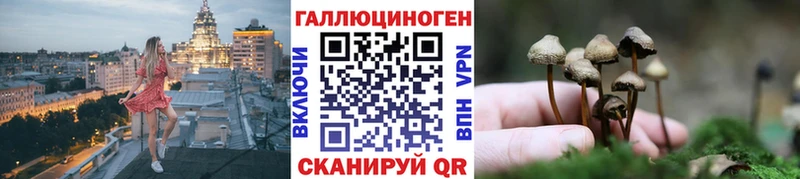Галлюциногенные грибы мицелий  Чердынь 